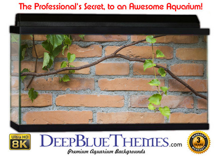 Buy Aquarium Background Wall 0002 Aquarium Background