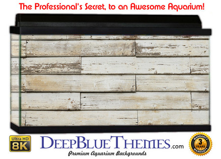 Buy Aquarium Background Wall 0004 Aquarium Background
