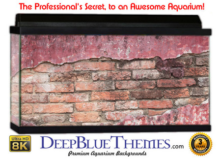 Buy Aquarium Background Wall 0005 Aquarium Background