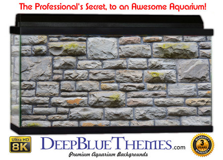 Buy Aquarium Background Wall 0006 Aquarium Background