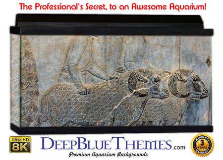 Buy Aquarium Background Wall 0010 Aquarium Background