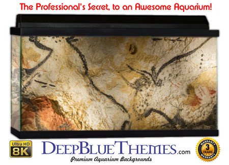 Buy Aquarium Background Wall 0011 Aquarium Background