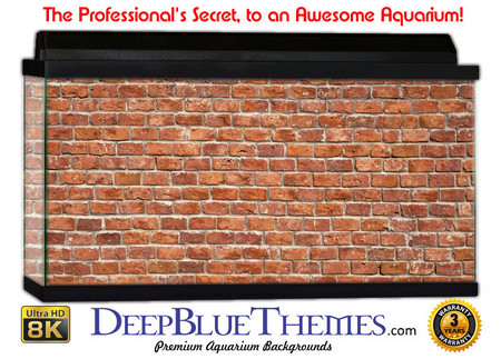 Buy Aquarium Background Wall 0012 Aquarium Background