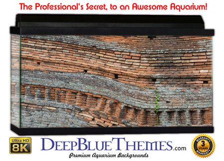 Buy Aquarium Background Wall 0013 Aquarium Background