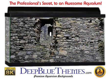 Buy Aquarium Background Wall 0015 Aquarium Background