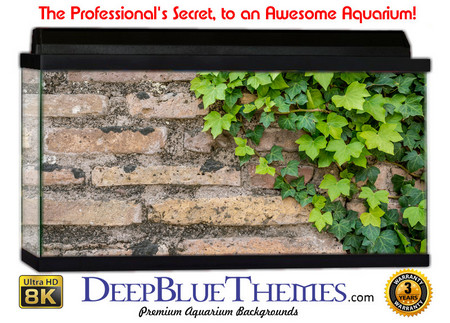 Buy Aquarium Background Wall 0016 Aquarium Background