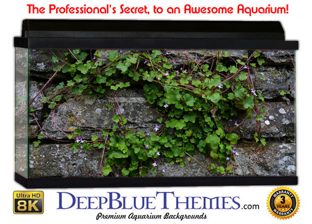 Buy Aquarium Background Wall 0018 Aquarium Background