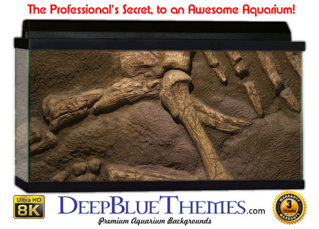 Buy Aquarium Background Wall 0021 Aquarium Background