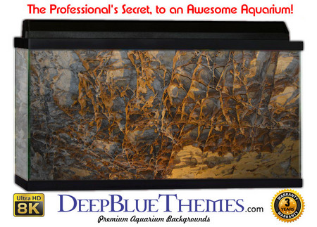 Buy Aquarium Background Wall 0022 Aquarium Background