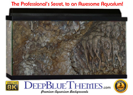 Buy Aquarium Background Wall 0023 Aquarium Background