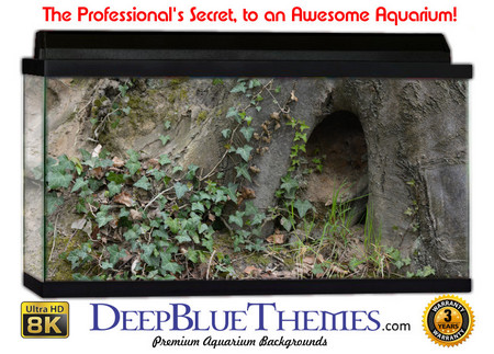 Buy Aquarium Background Wall 0024 Aquarium Background