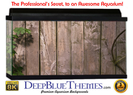 Buy Aquarium Background Wall 0025 Aquarium Background