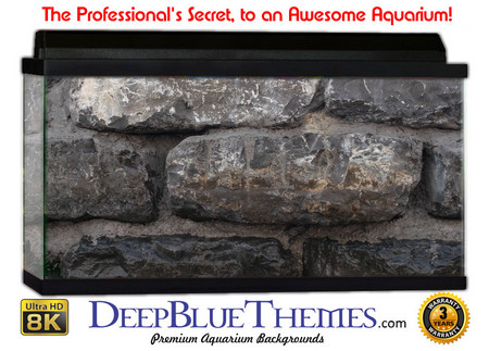 Buy Aquarium Background Wall 0026 Aquarium Background