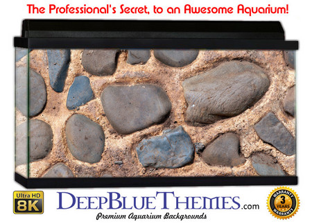 Buy Aquarium Background Wall 0028 Aquarium Background