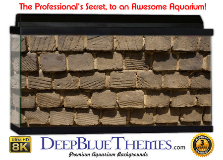 Buy Aquarium Background Wall 0029 Aquarium Background