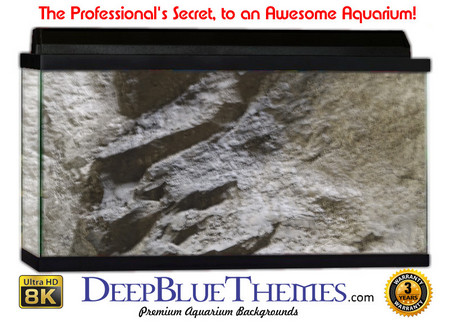Buy Aquarium Background Wall 0030 Aquarium Background