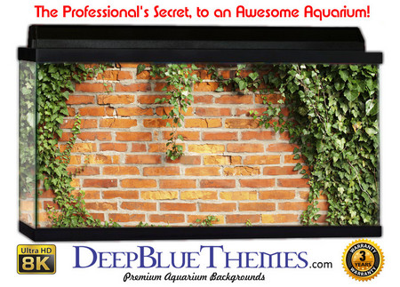 Buy Aquarium Background Wall 0031 Aquarium Background