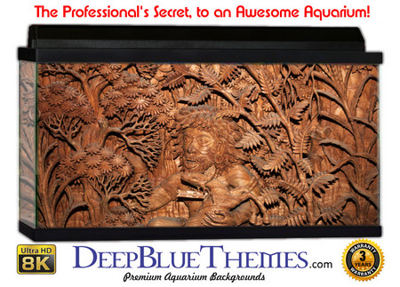 Buy Aquarium Background Wall 0033 Aquarium Background