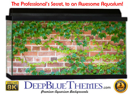 Buy Aquarium Background Wall 0034 Aquarium Background