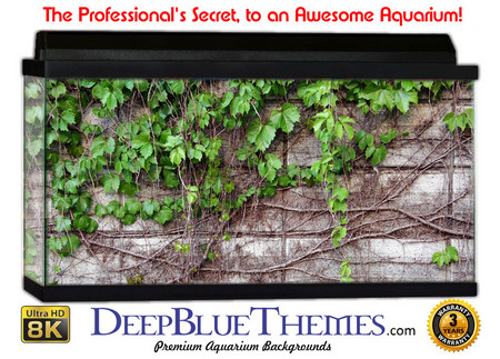 Buy Aquarium Background Wall 0035 Aquarium Background