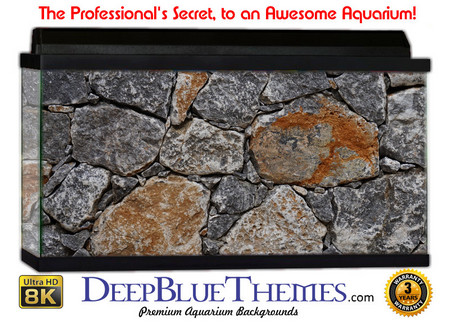 Buy Aquarium Background Wall 0040 Aquarium Background