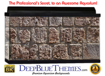 Buy Aquarium Background Wall 0041 Aquarium Background