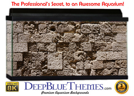 Buy Aquarium Background Wall 0042 Aquarium Background