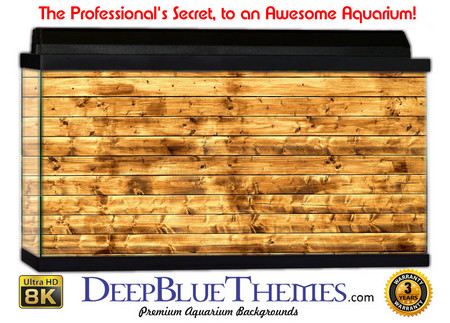 Buy Aquarium Background Wall 0046 Aquarium Background
