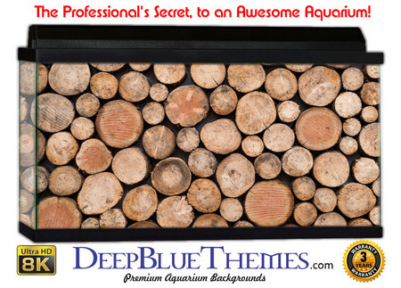 Buy Aquarium Background Wall 0047 Aquarium Background