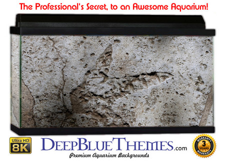 Buy Aquarium Background Wall 0049 Aquarium Background