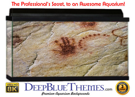 Buy Aquarium Background Wall 0050 Aquarium Background