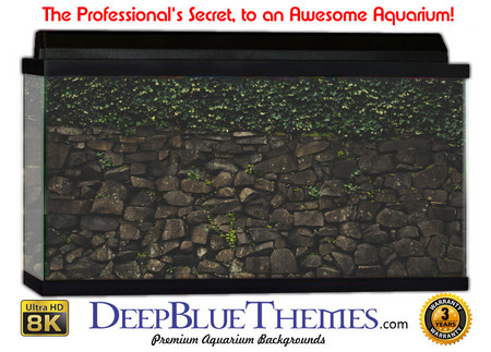 Buy Aquarium Background Wall 0051 Aquarium Background