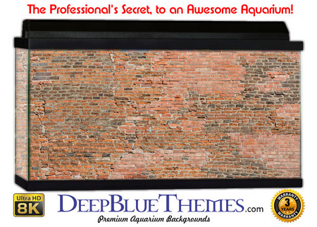 Buy Aquarium Background Wall 0056 Aquarium Background