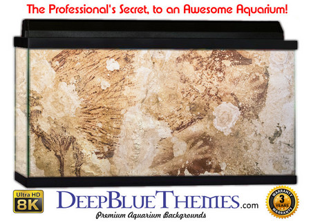Buy Aquarium Background Wall 0057 Aquarium Background