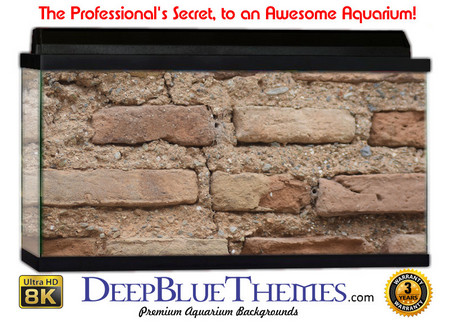 Buy Aquarium Background Wall 0059 Aquarium Background