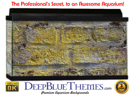 Buy Aquarium Background Wall 0060 Aquarium Background