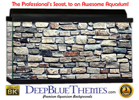 Buy Aquarium Background Wall 0061 Aquarium Background