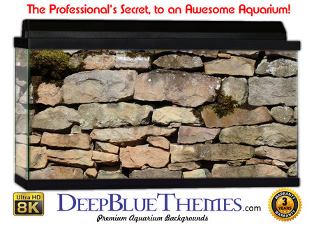 Buy Aquarium Background Wall 0062 Aquarium Background