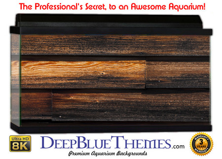 Buy Aquarium Background Wall 0064 Aquarium Background