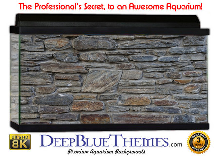 Buy Aquarium Background Wall 0070 Aquarium Background