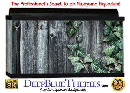 Buy Aquarium Background Wall 0074 Aquarium Background