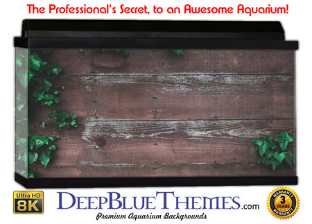 Buy Aquarium Background Wall 0075 Aquarium Background