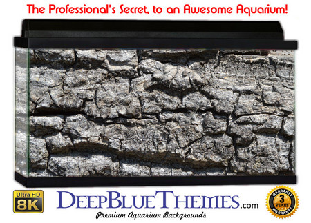 Buy Aquarium Background Wall 0077 Aquarium Background