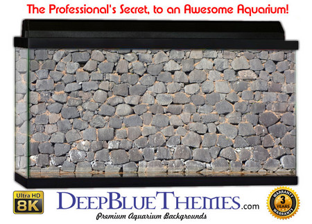 Buy Aquarium Background Wall 0079 Aquarium Background