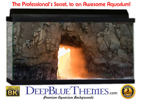 Buy Aquarium Background Wall 0081 Aquarium Background