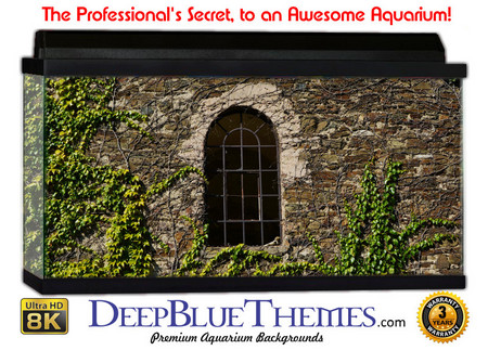Buy Aquarium Background Wall 0082 Aquarium Background