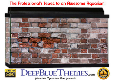 Buy Aquarium Background Wall 0083 Aquarium Background