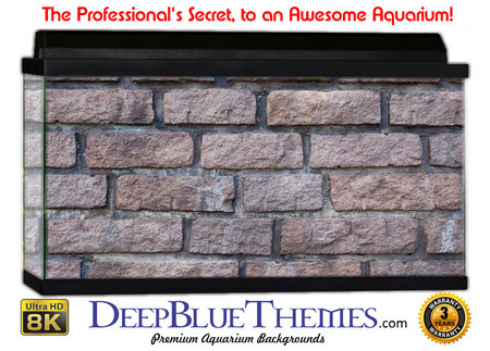 Buy Aquarium Background Wall 0084 Aquarium Background