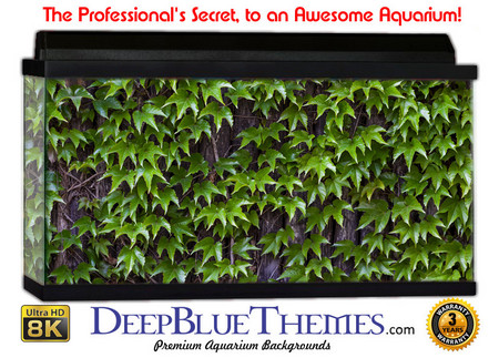 Buy Aquarium Background Wall 0085 Aquarium Background