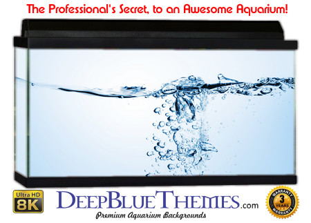 Buy Aquarium Background Water Abstract Aquarium Background